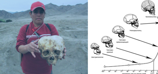 гигантски череп открит в Боливия